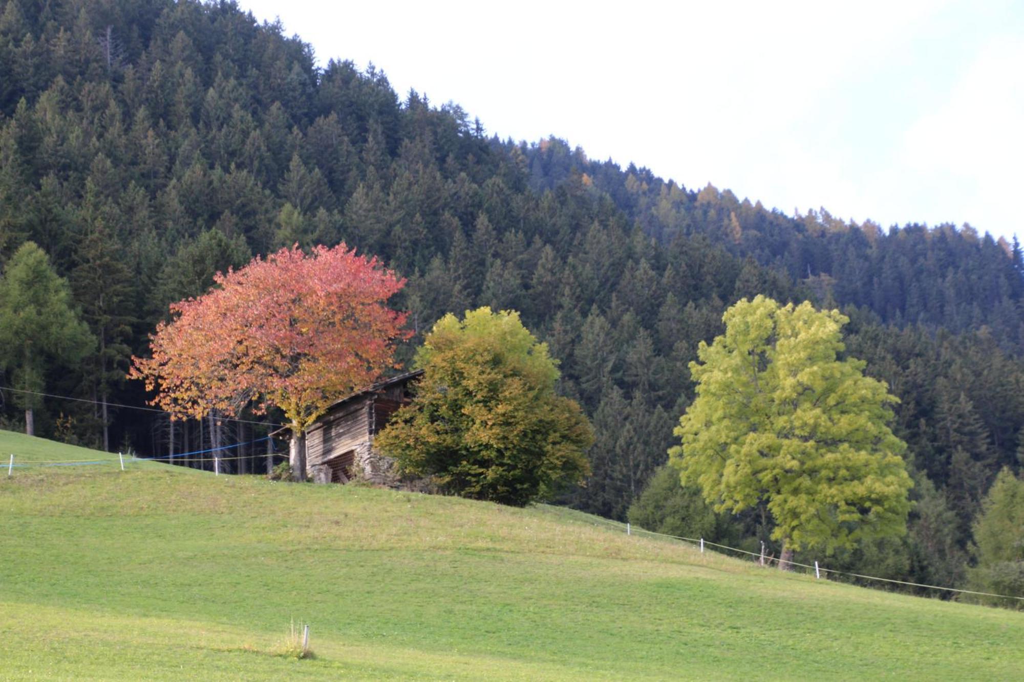 Gasthof Walde Rifiano Exterior foto